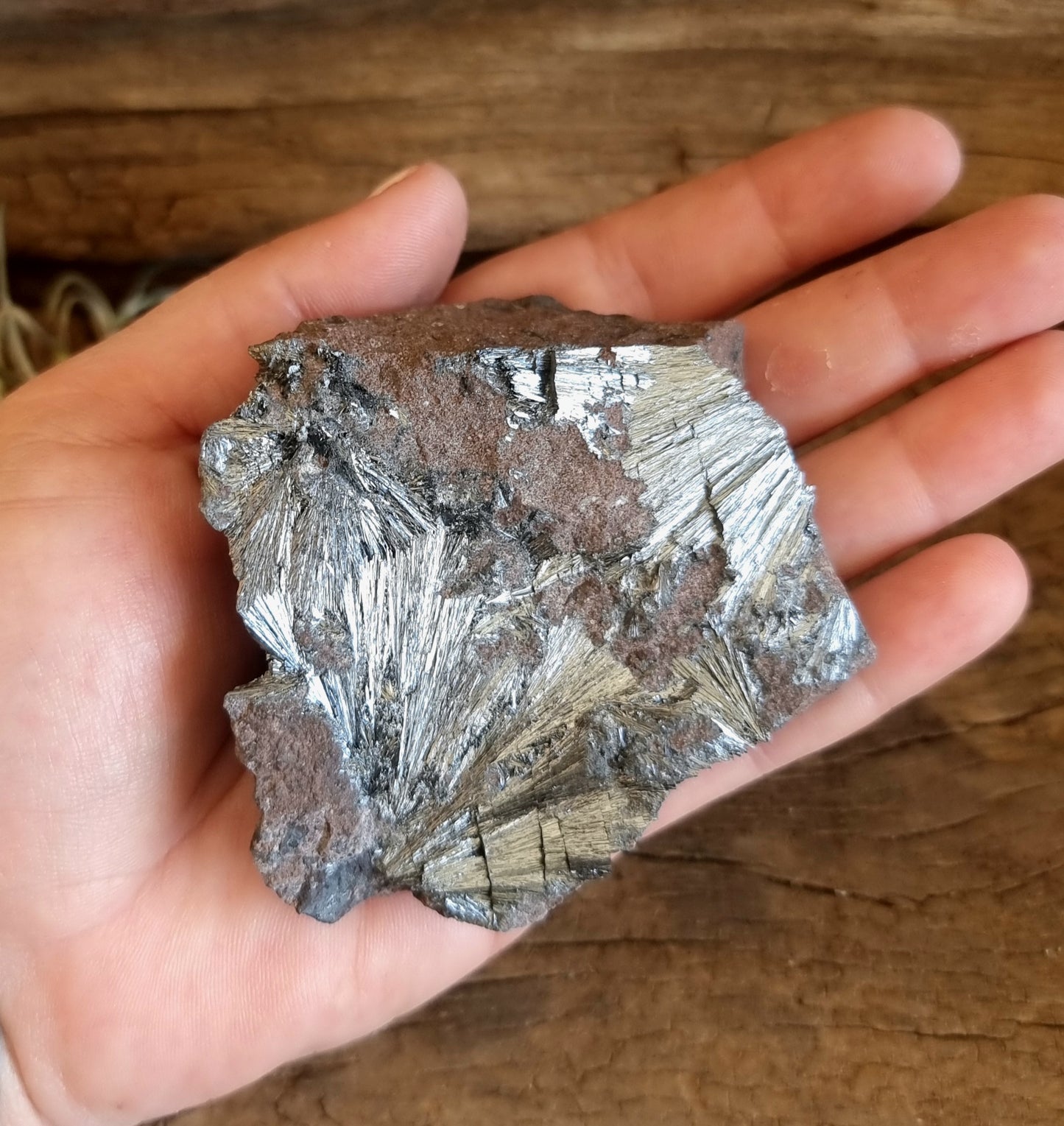 PYROLUSITE - PROTECTIVE SHIELD