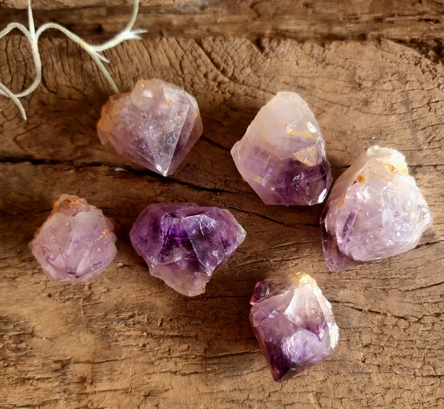 AMETHYST SINGLE POINTS FROM BOEKENHOUT - INTUITION