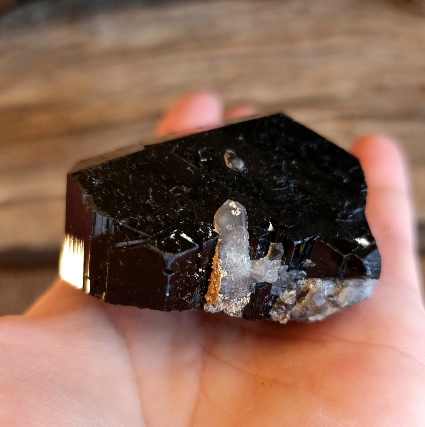 BLACK SCHORL TOURMALINE WITH FLUORESCENT HYALITE C