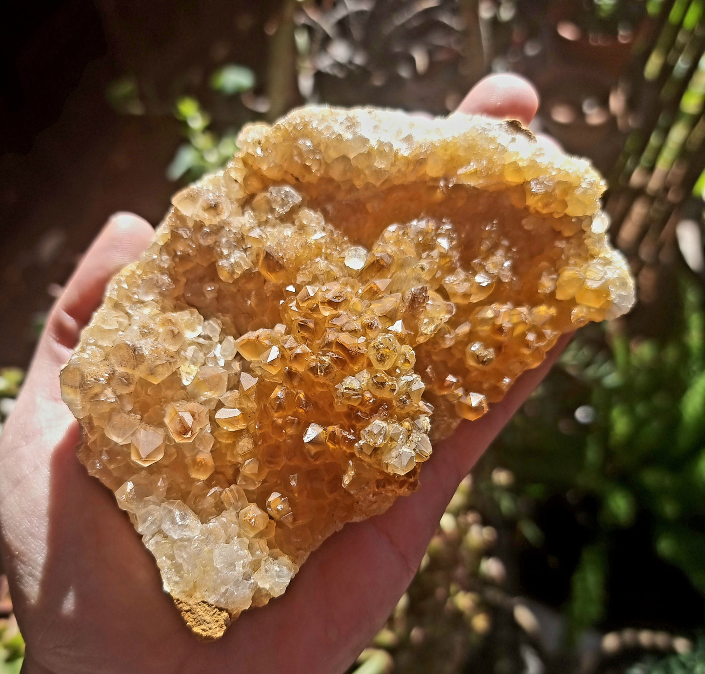 NATURAL GOLDEN LIMONITE QUARTZ CRYSTAL SPECIMEN 2