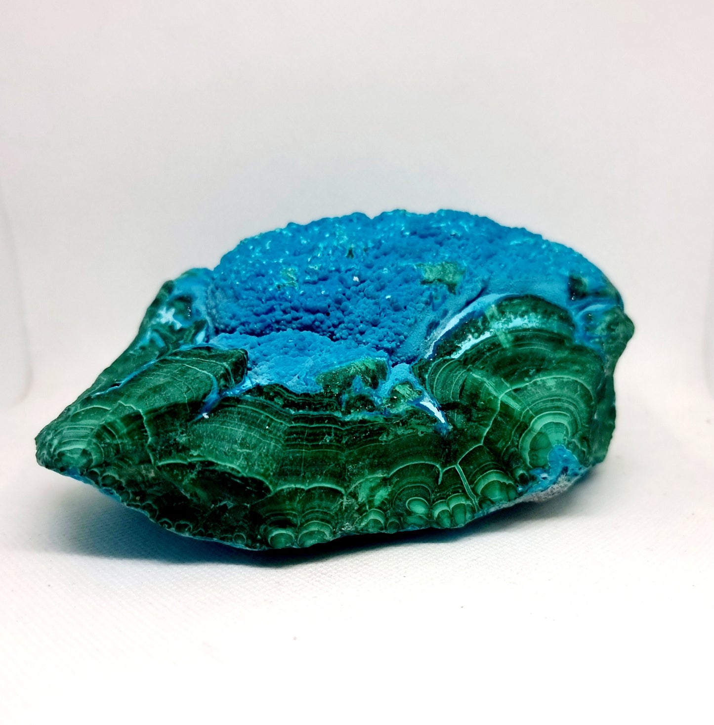 NATURAL BLUE CHRYSOCOLLA ON FLOWER MALACHITE SPECIMEN 1.4 kg