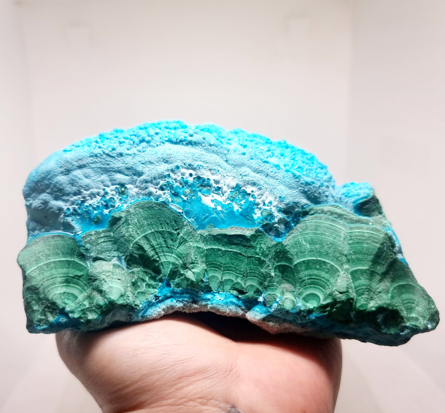 NATURAL BLUE CHRYSOCOLLA ON FLOWER MALACHITE SPECIMEN 1.4 kg