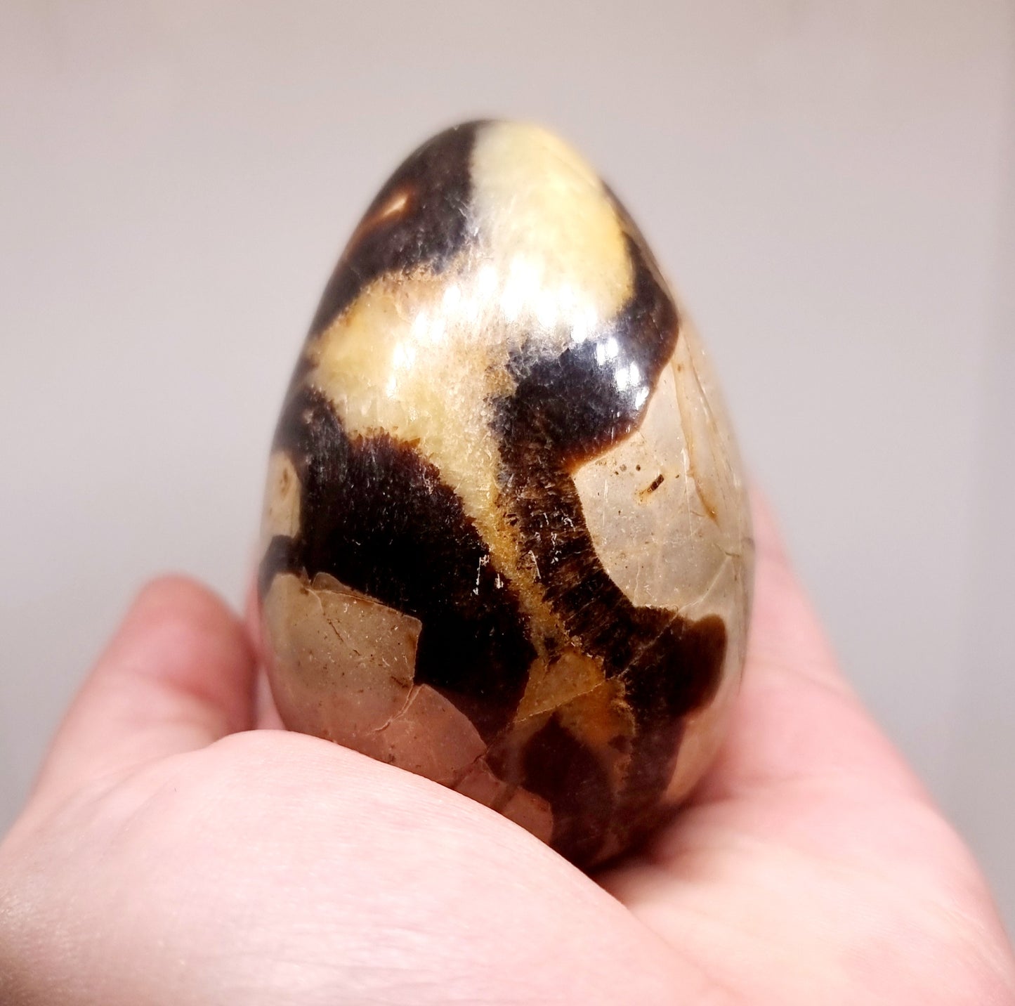 SEPTARIAN POLISHED DRAGON EGG 215 g - SHAMANIC HEALING