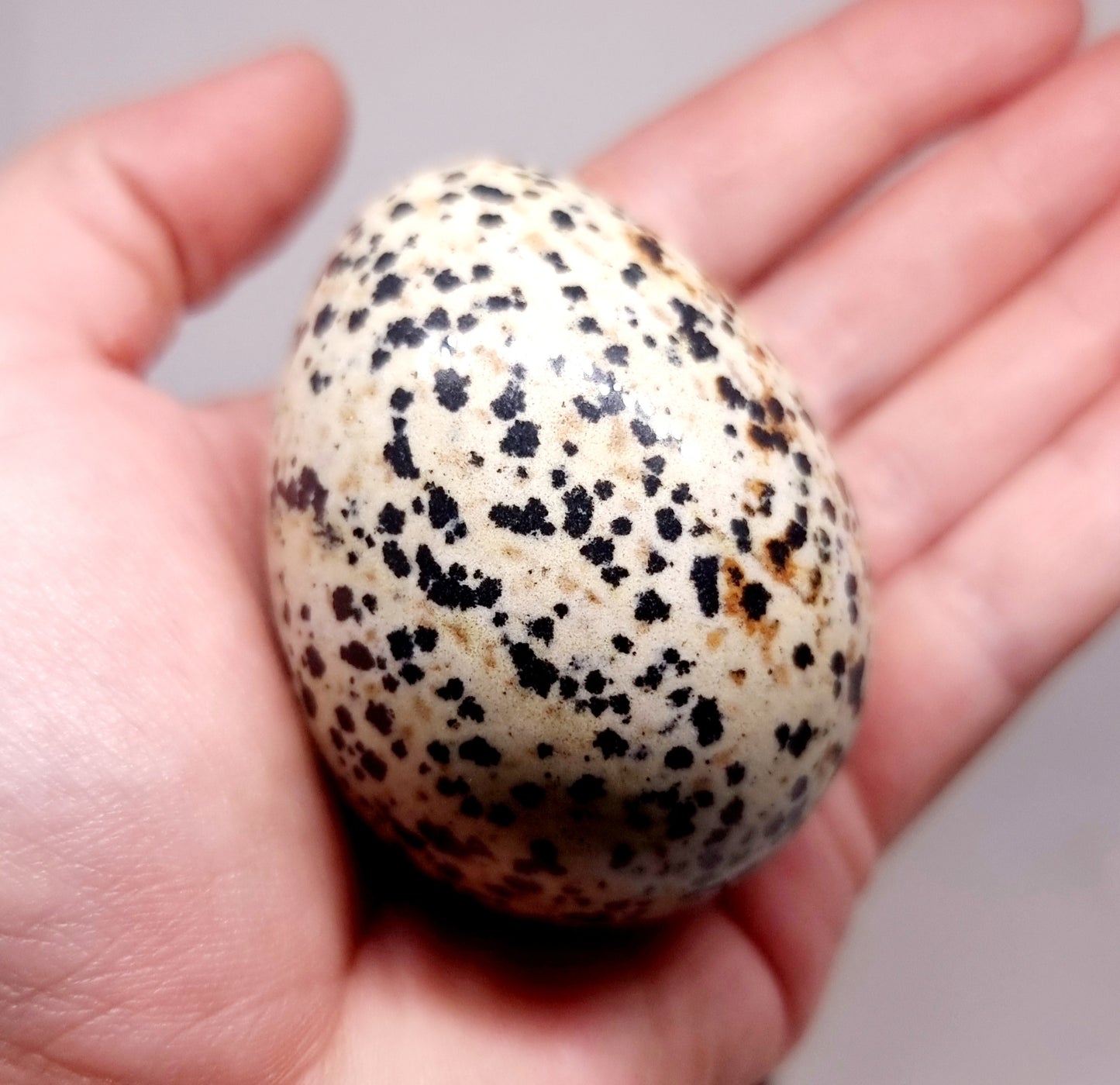 DALMATION JASPER POLISHED EGG 164 g - GROUNDING
