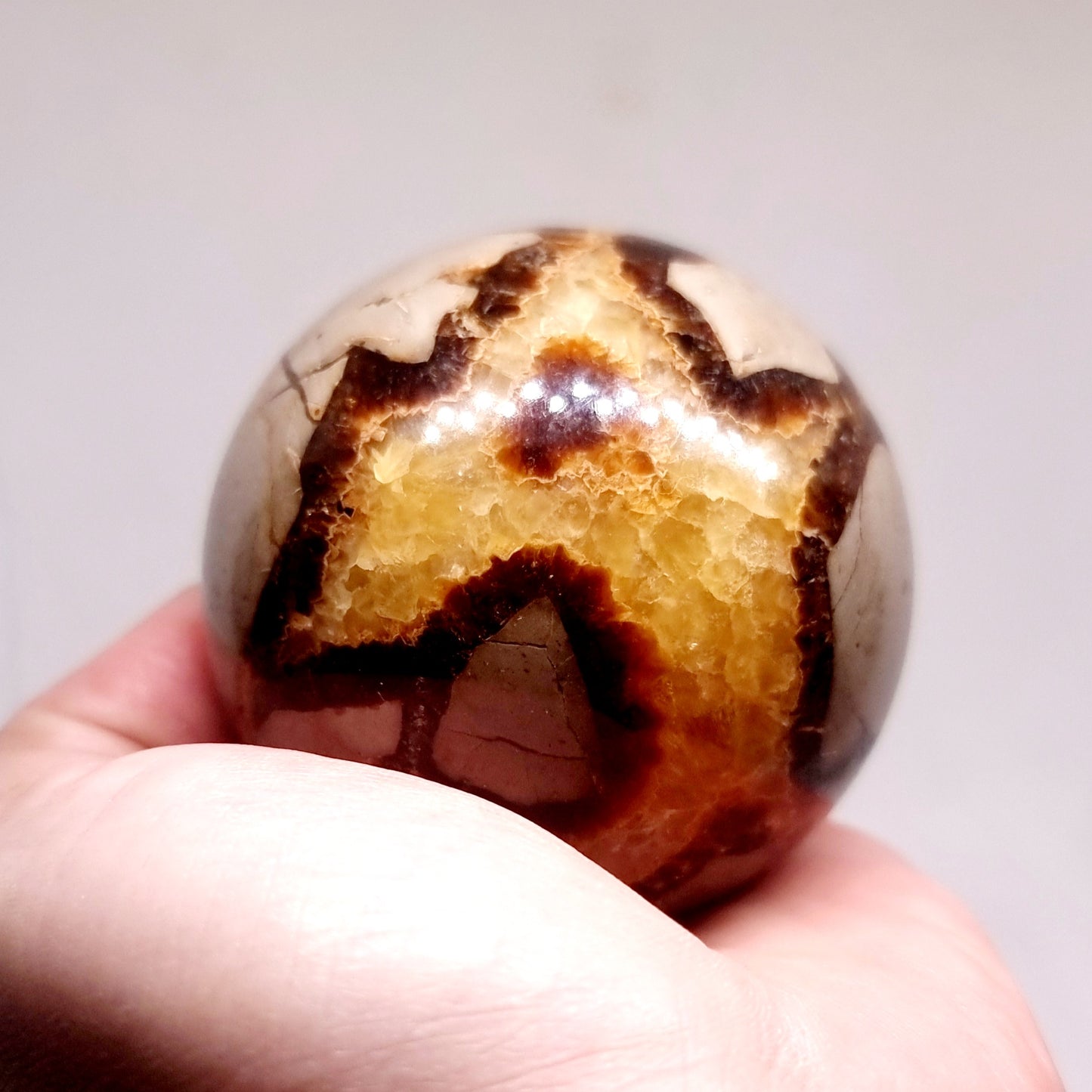 SEPTARIAN POLISHED SPHERE 6 cm - SHAMANIC HEALING