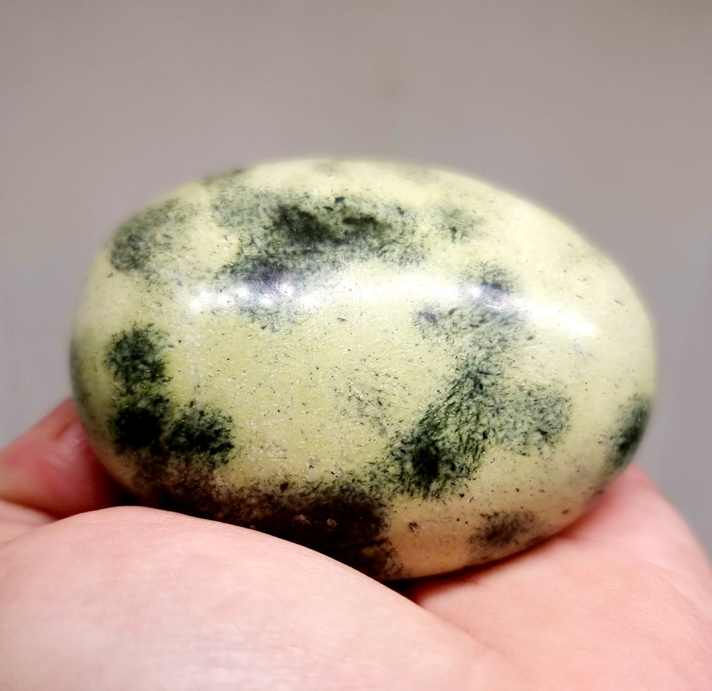 LEOPARD STONE / SERPENTINE POLISHED GALLET 170 g - INTUITION