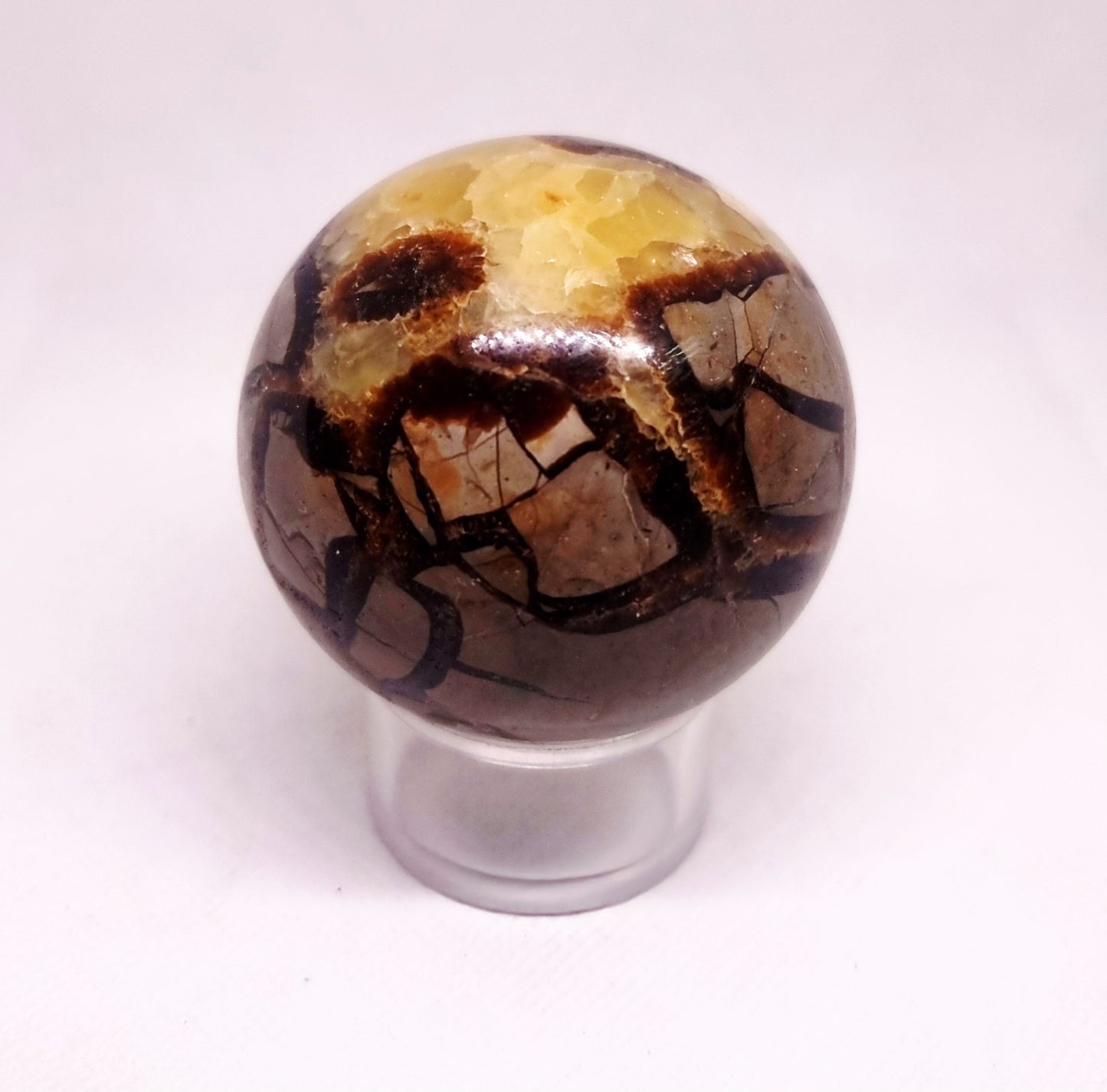 SEPTARIAN POLISHED SPHERE 6 cm - SHAMANIC HEALING