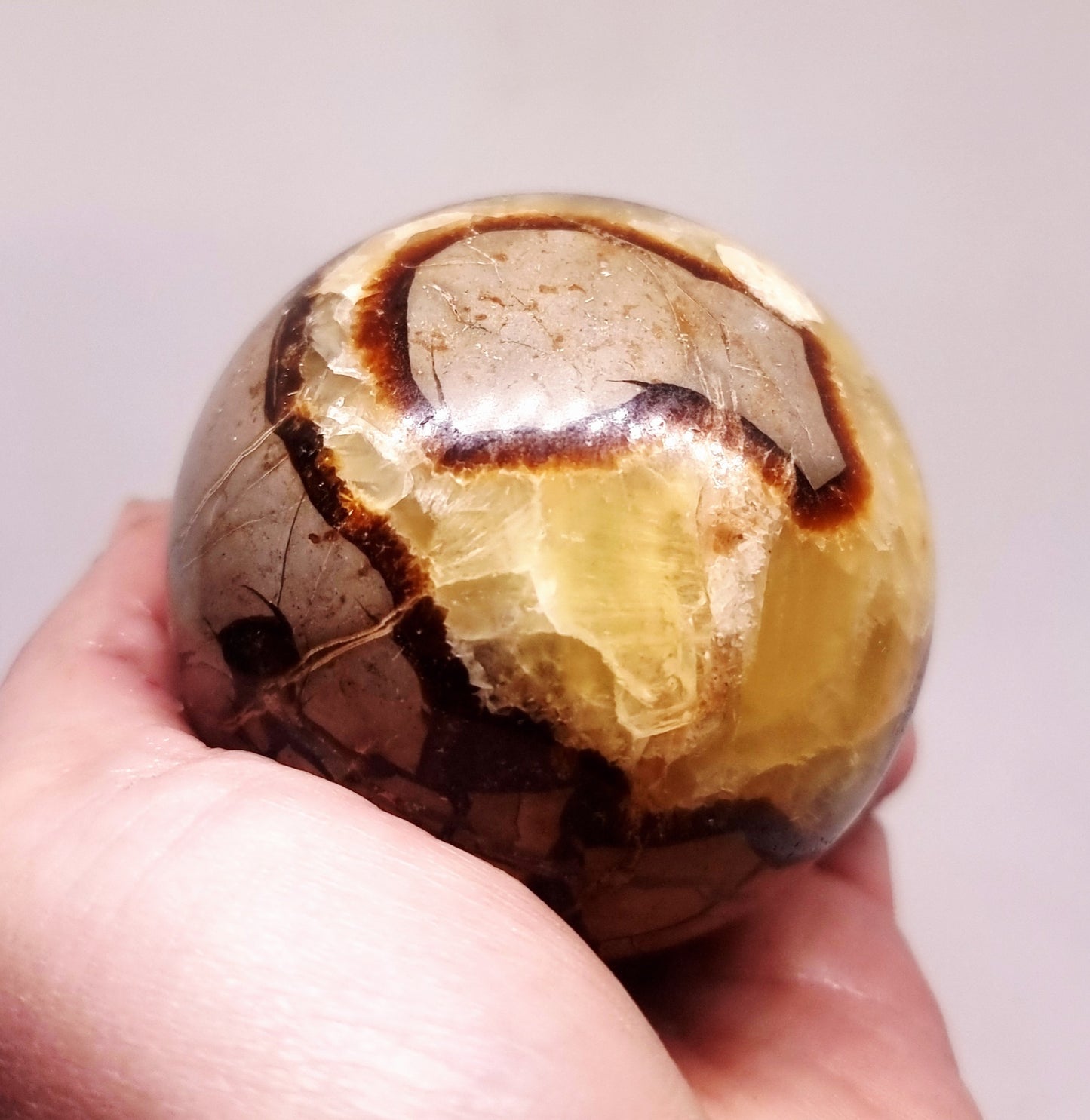 SEPTARIAN POLISHED SPHERE 6 cm - SHAMANIC HEALING