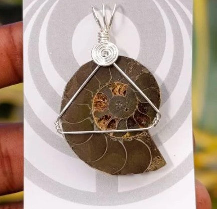 AMMONITE WIRE WRAPPED PENDANT - AKASHIC RECORDS