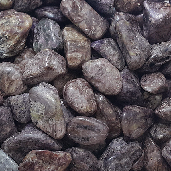 CHAROITE TUMBLED POCKET STONE - TRANSFORMATION
