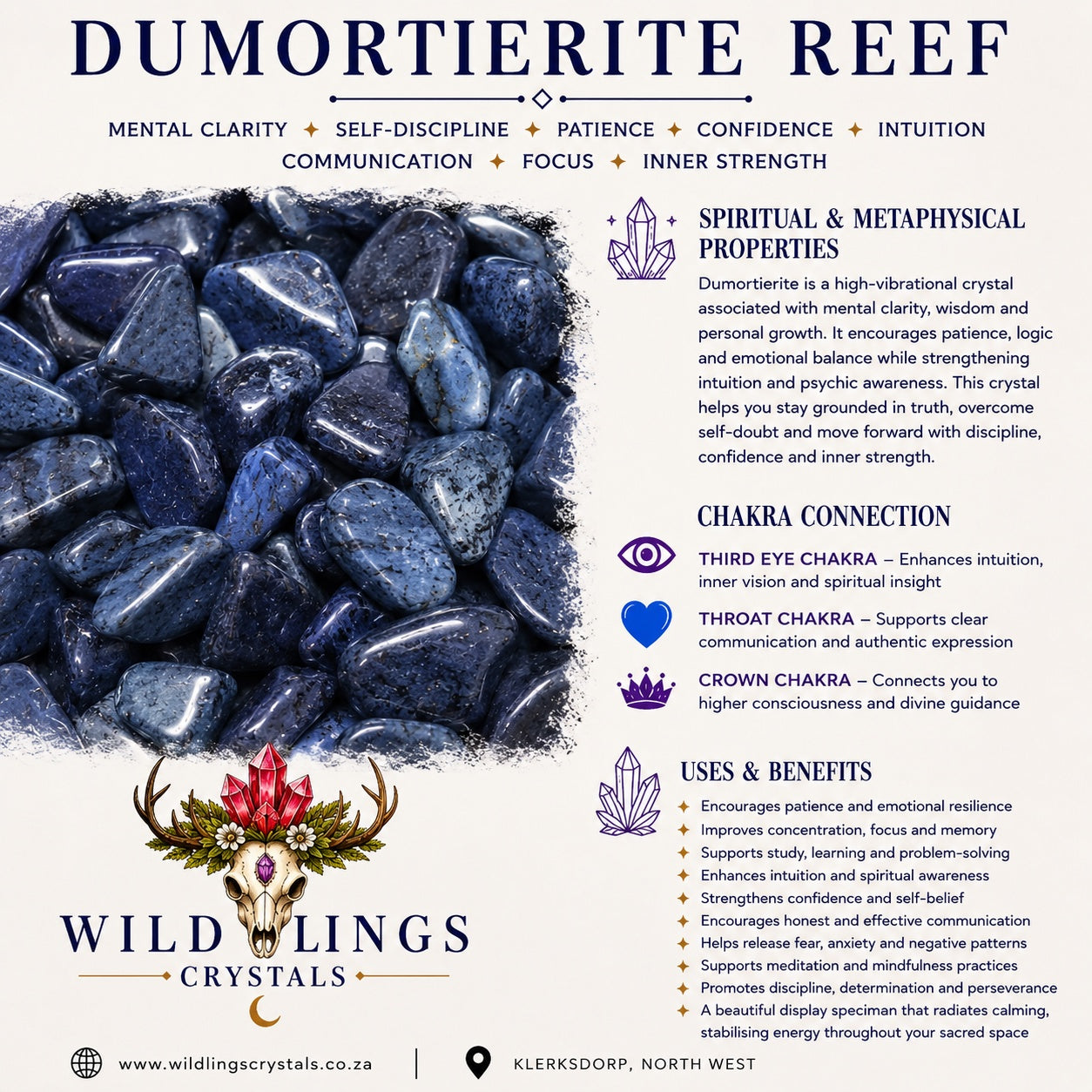 DUMORTIERITE REEF JEWELRY/TRINKET BOX - MENTAL CLARITY