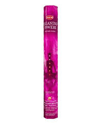 CLEANING POWERS INCENSE STICKS - HEM