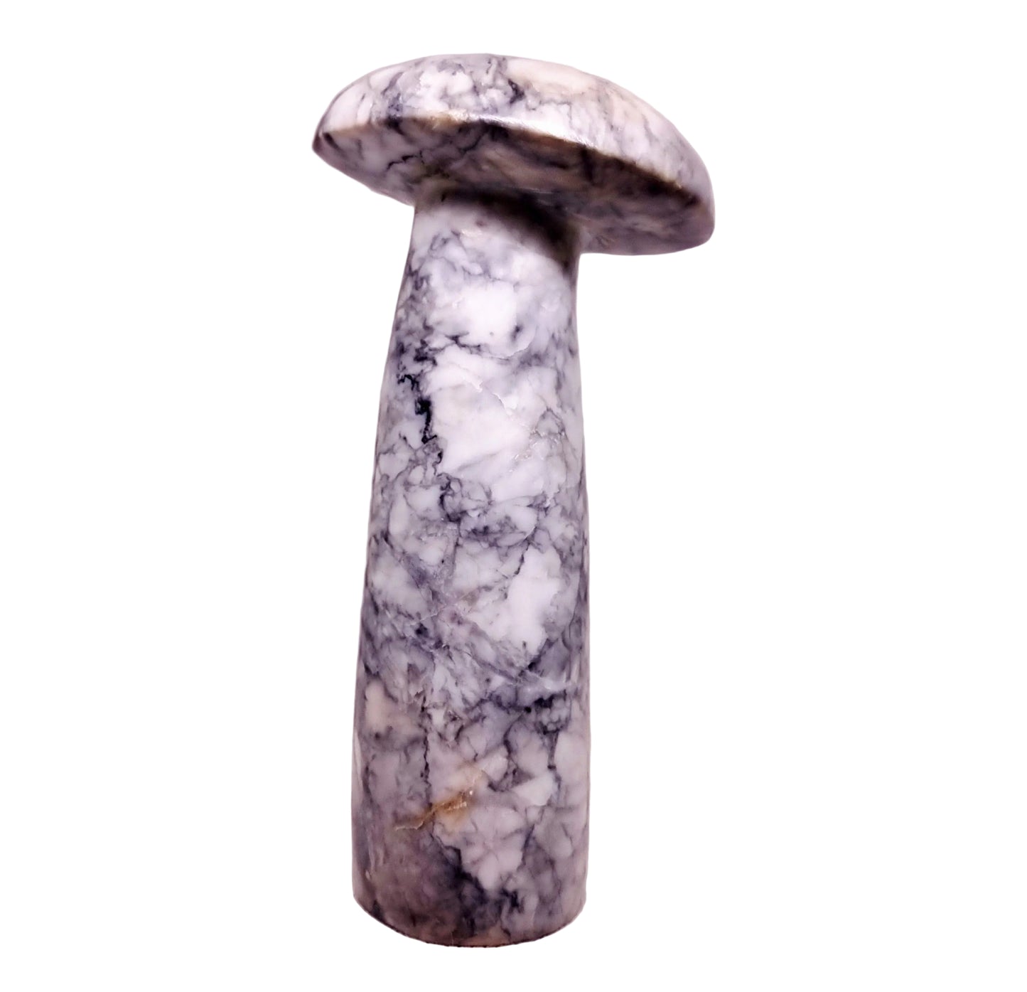 LIGHTNING STRIKE HOWLITE MUSHROOM 14 cm (530 g) - HIGHER REALMS