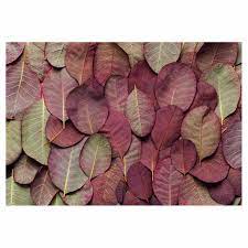 LEAF ARRANGEMENT DARK MAUVE AND GREEN FLEECE BLANKET LARGE