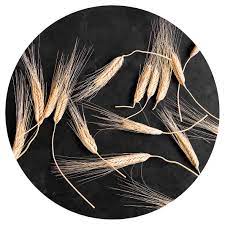 SCATTERED WHEAT ON BLACK SERVING BOARD