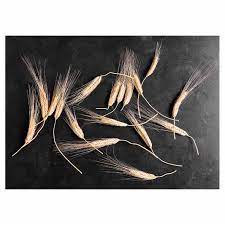 SCATTERED WHEAT ON BLACK TABLECLOTH