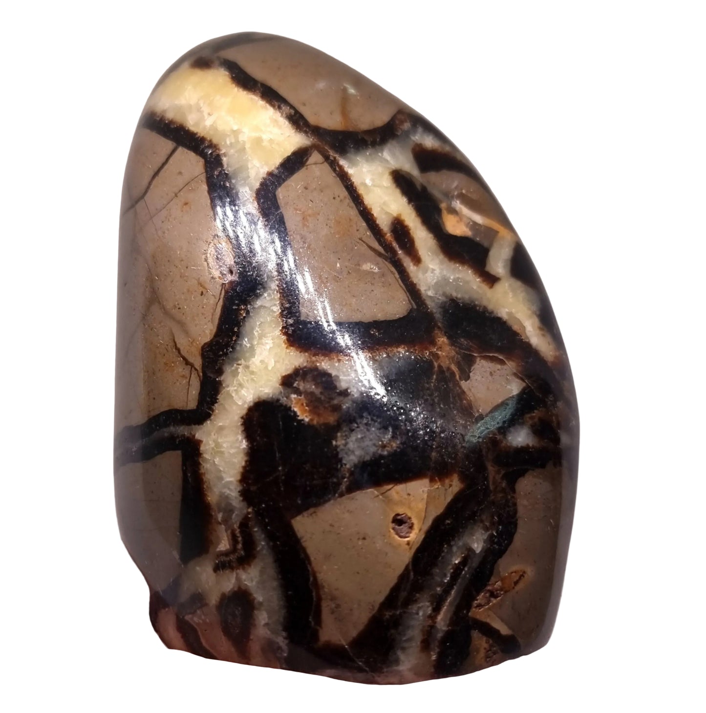 SEPTARIAN POLISHED FREEFORM 1.95 kg - ANCIENT WISDOM