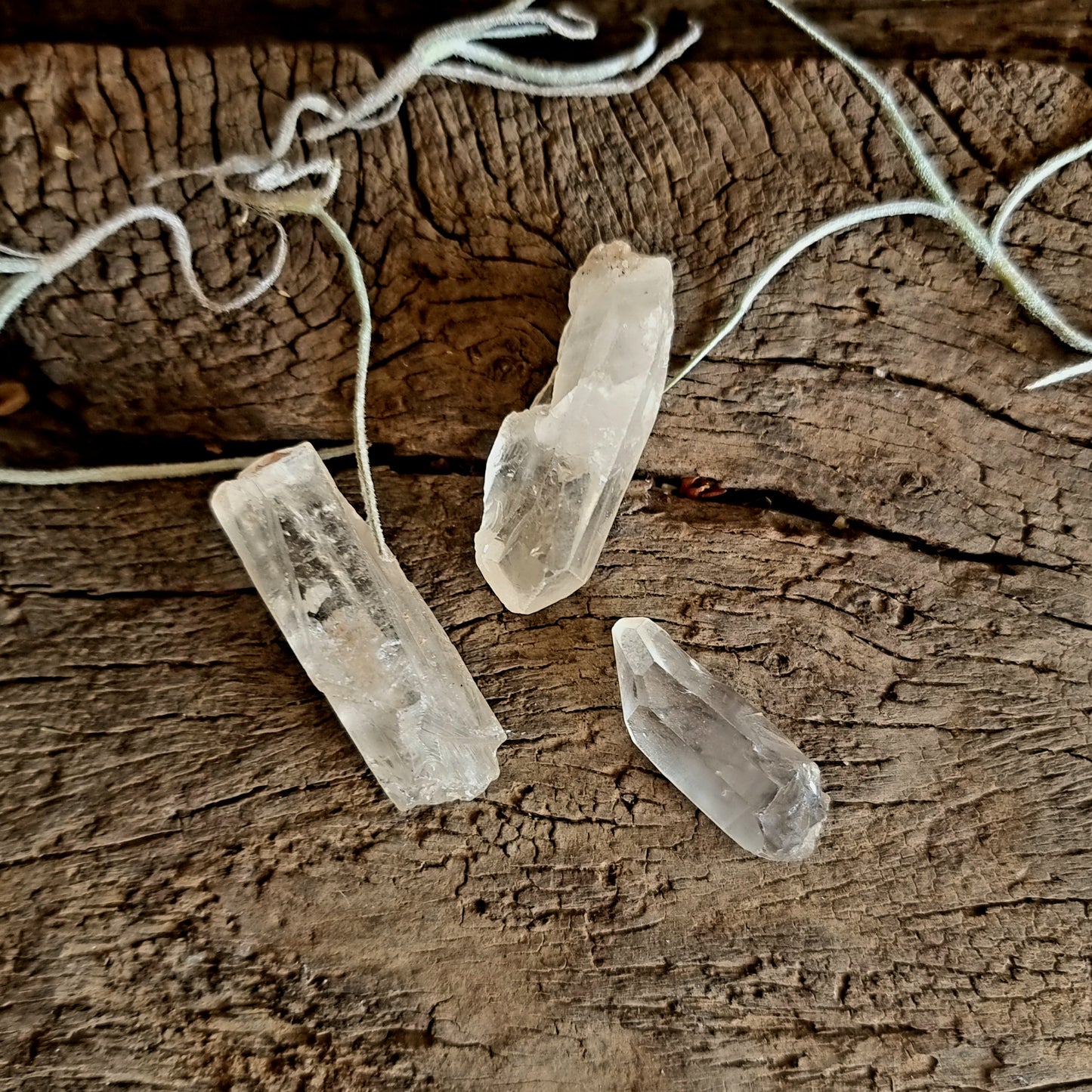 CLEAR QUARTZ ROUGH POINTS - ENERGY AMPLIFIER