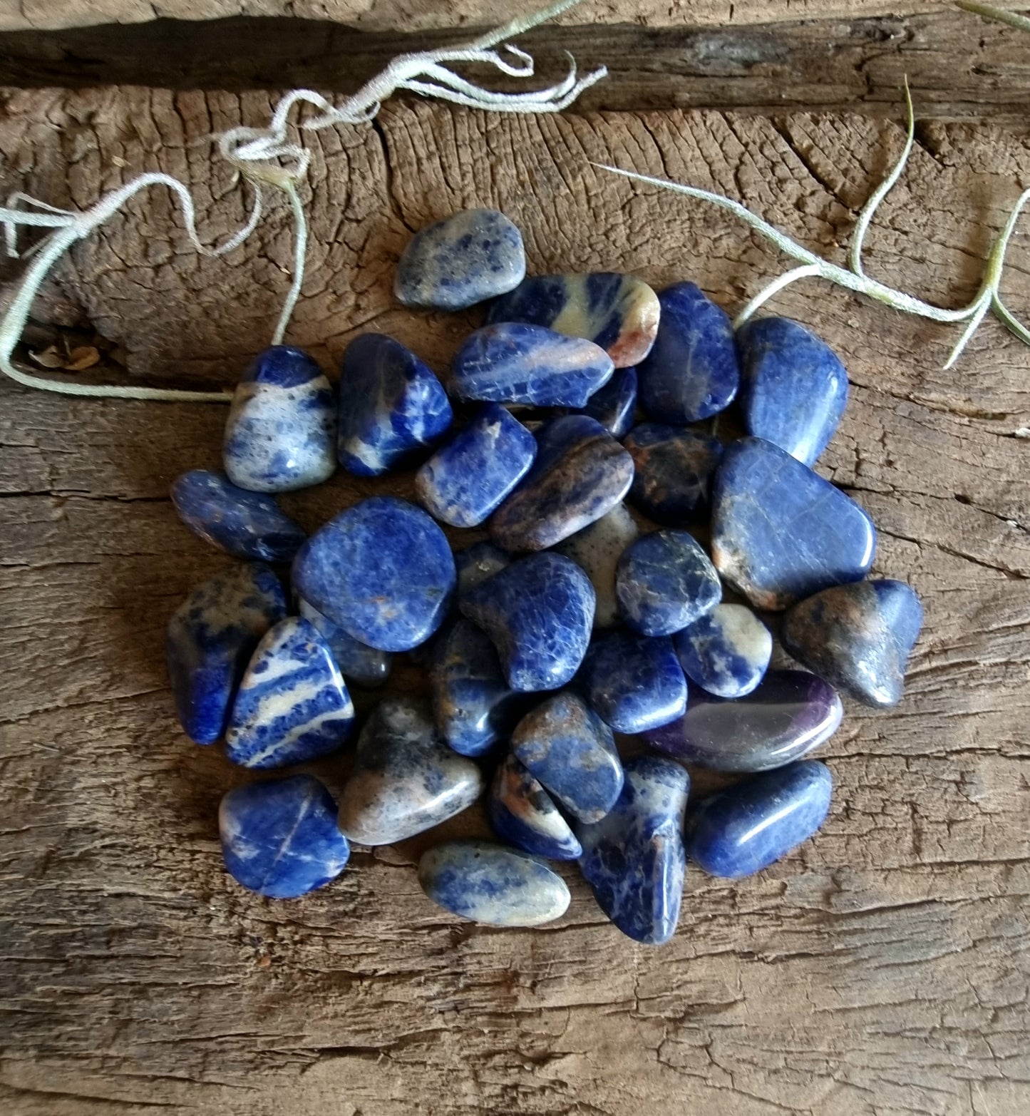 MINI SODALITE CRYSTAL GRID PACK - INTUITION