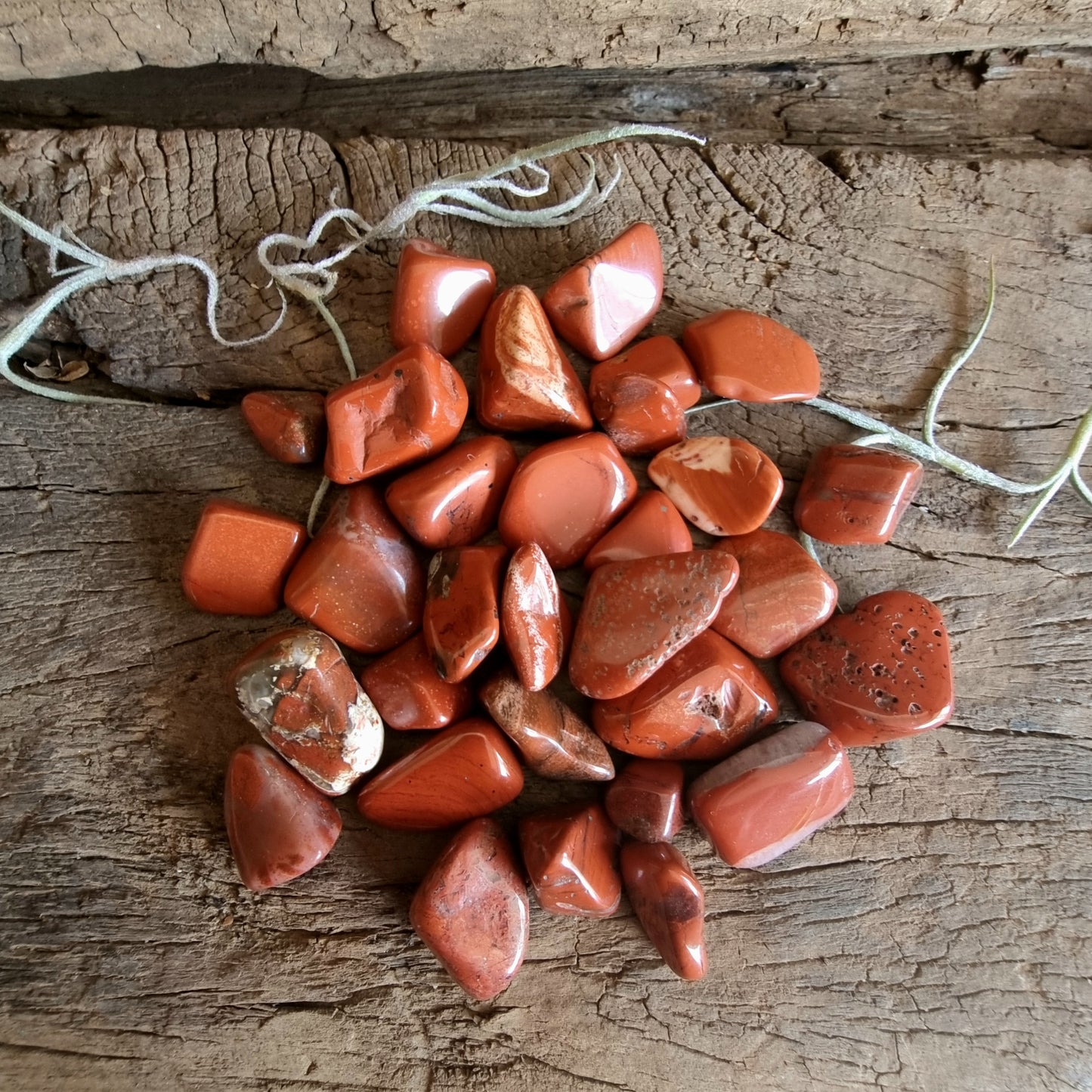 MINI RED JASPER CRYSTAL GRID PACK - GROUNDING & PROTECTION