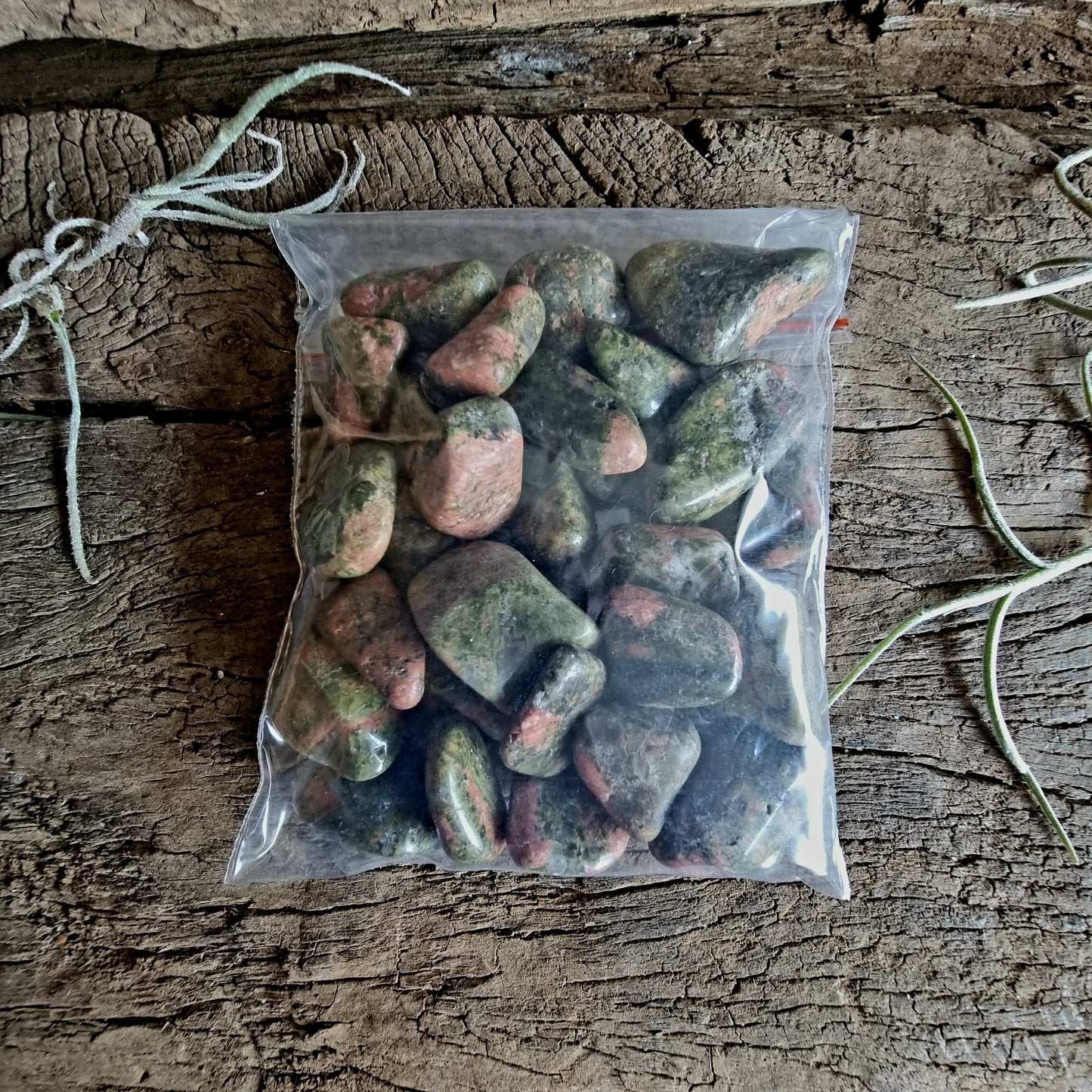 MINI UNAKITE JASPER CRYSTAL GRID PACK - STONE OF VISION