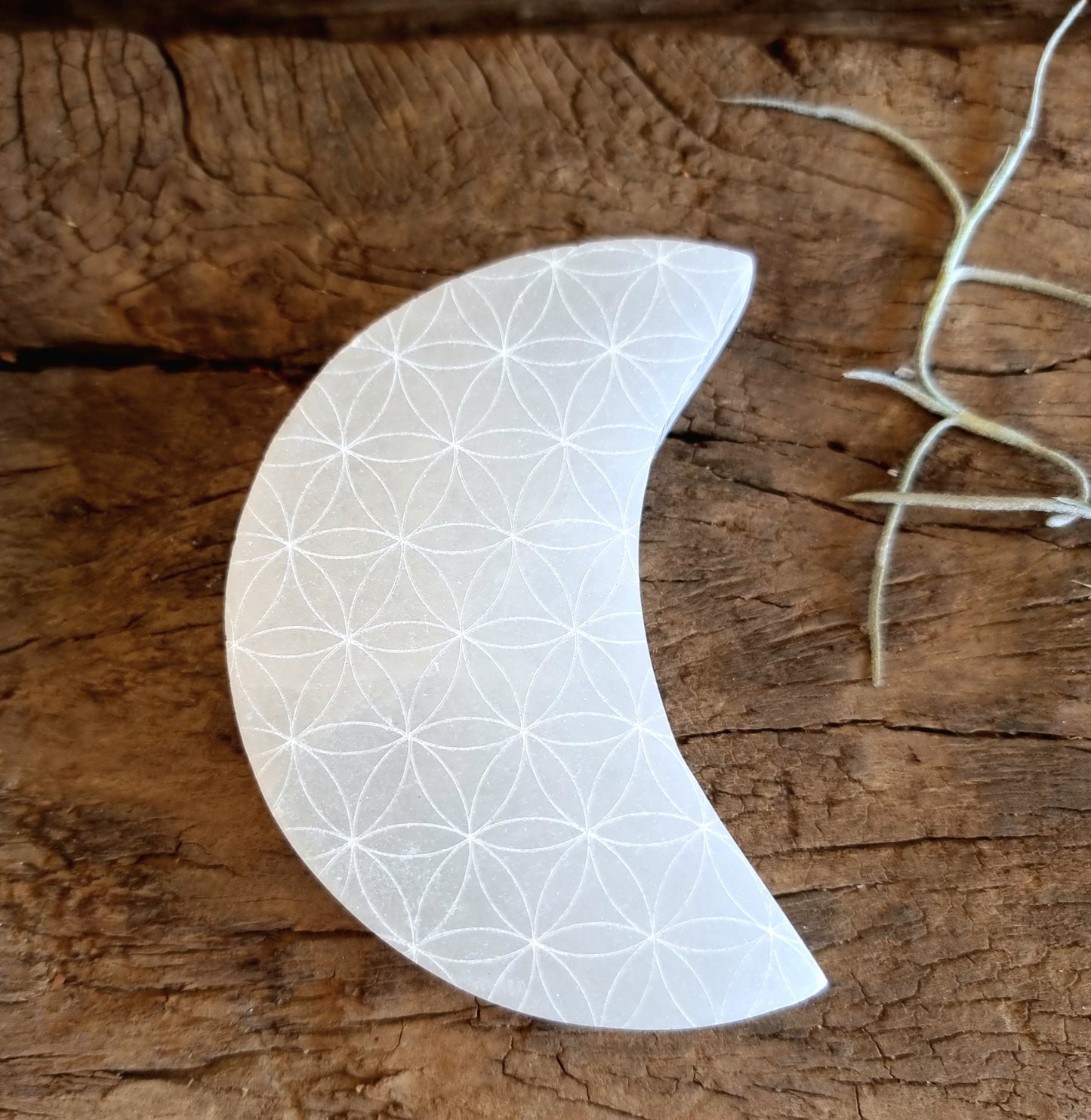 SELENITE MOON CHARGING PLATE - ANGELIC GUIDANCE