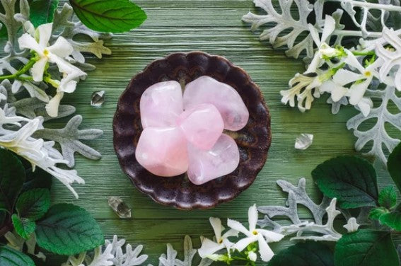 ROSE QUARTZ collection at Wildlings Crystals