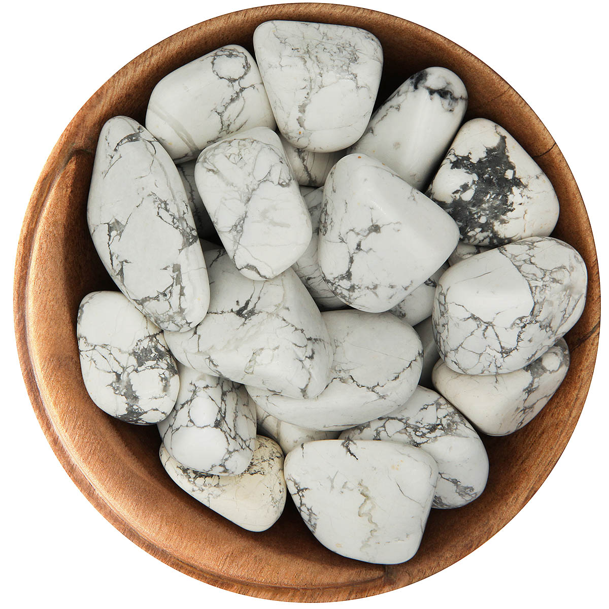 HOWLITE collection at Wildlings Crystals