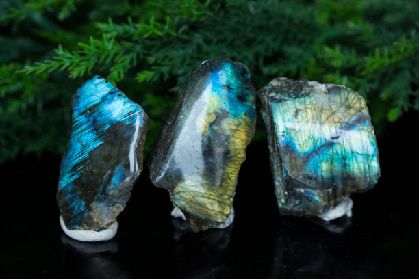 LABRADORITE collection at Wildlings Crystals