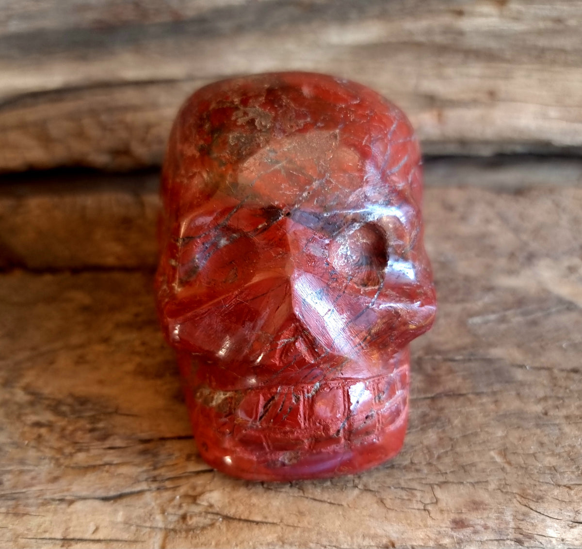 Red Jasper Skull - Wildlings Crystals South Africa