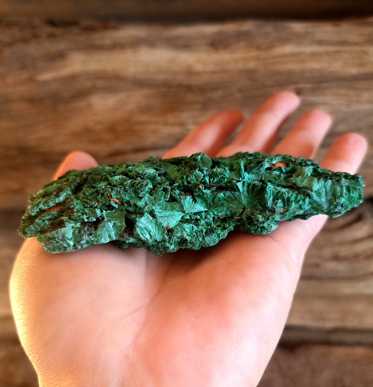 SILKY MALACHITE SPECIMEN D