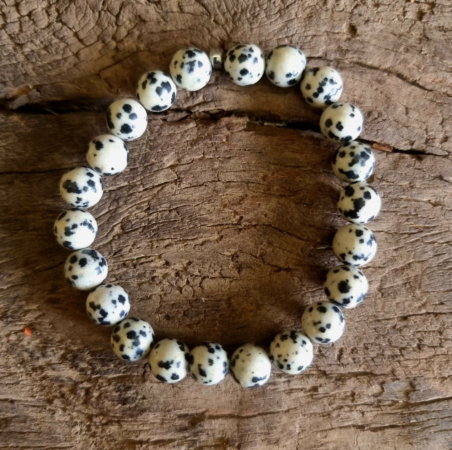 DALMATION JASPER BRACELET 8mm - GROUNDING