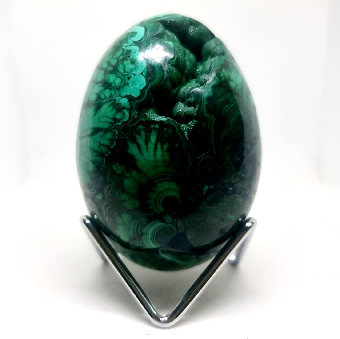 BANDED FLOWER MALACHITE POLISHED EGG WITH VUGS 928 g - HEART HEALER