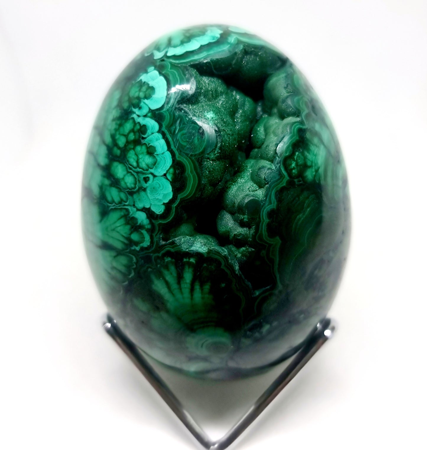 BANDED FLOWER MALACHITE POLISHED EGG WITH VUGS 928 g - HEART HEALER