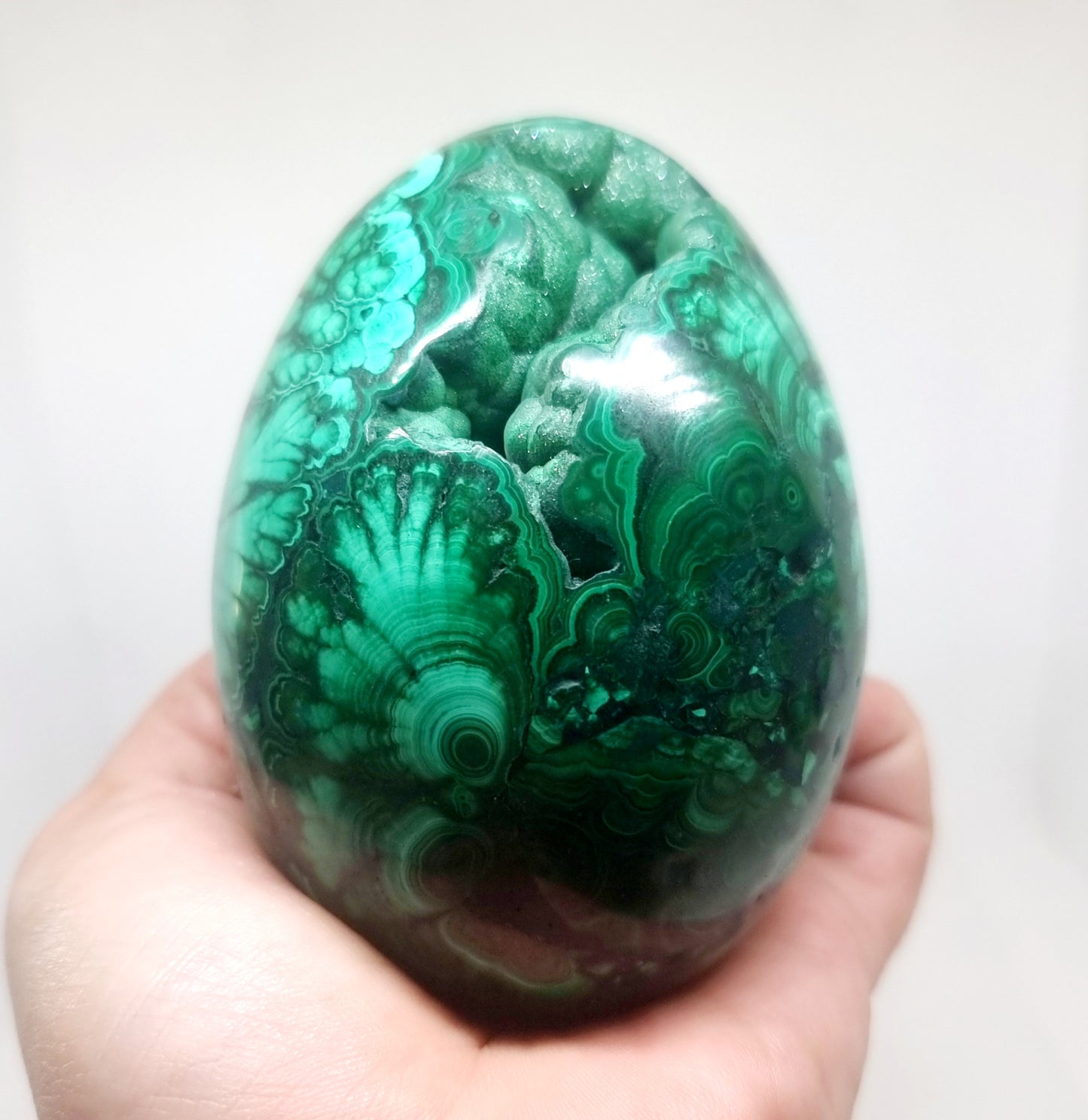 BANDED FLOWER MALACHITE POLISHED EGG WITH VUGS 928 g - HEART HEALER