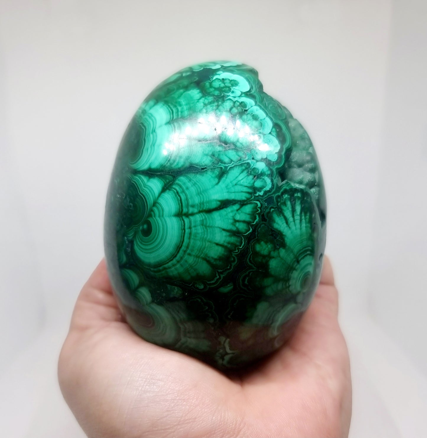 BANDED FLOWER MALACHITE POLISHED EGG WITH VUGS 928 g - HEART HEALER