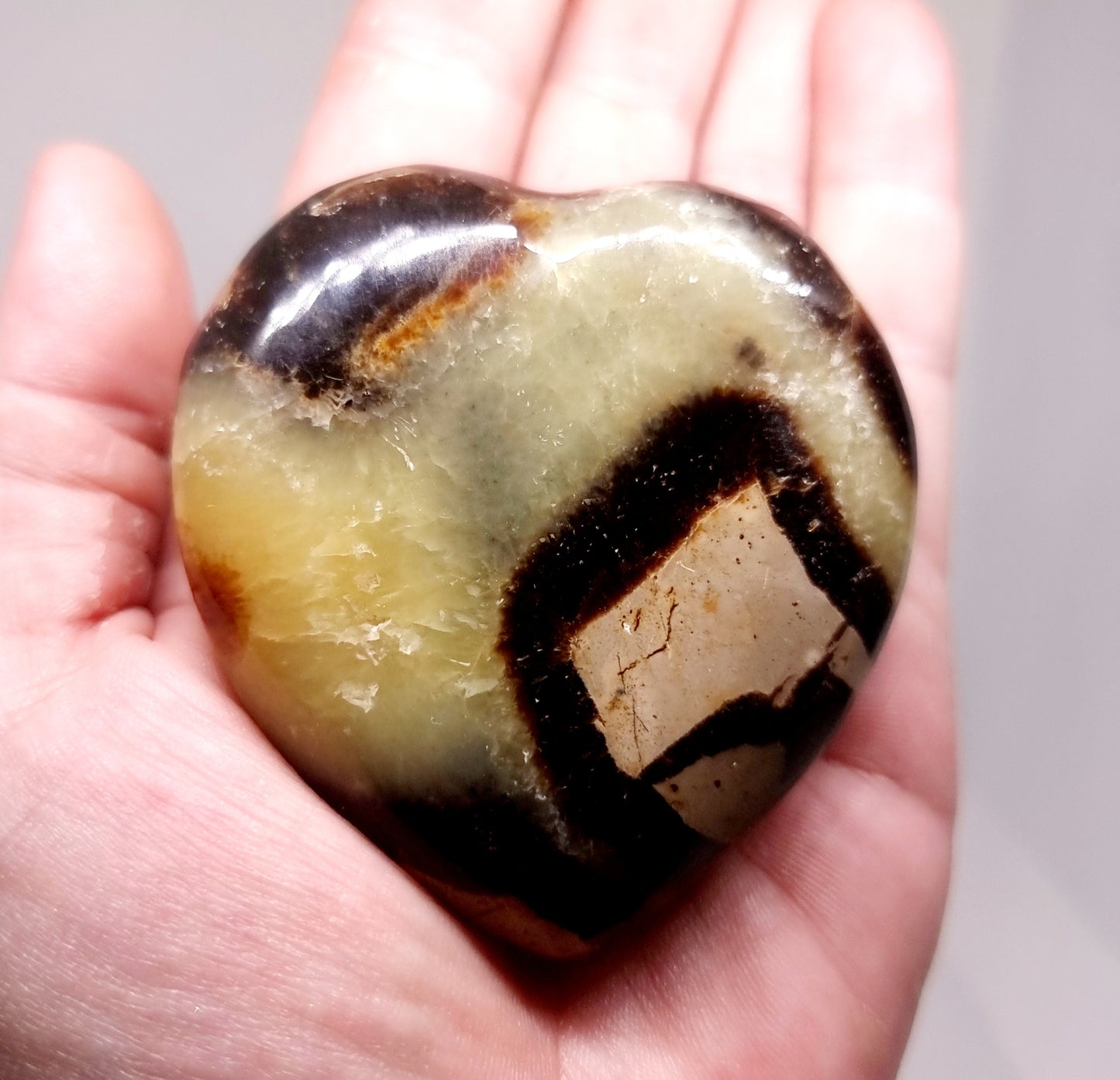 SEPTARIAN POLISHED HEART 6 cm ( 159 g )