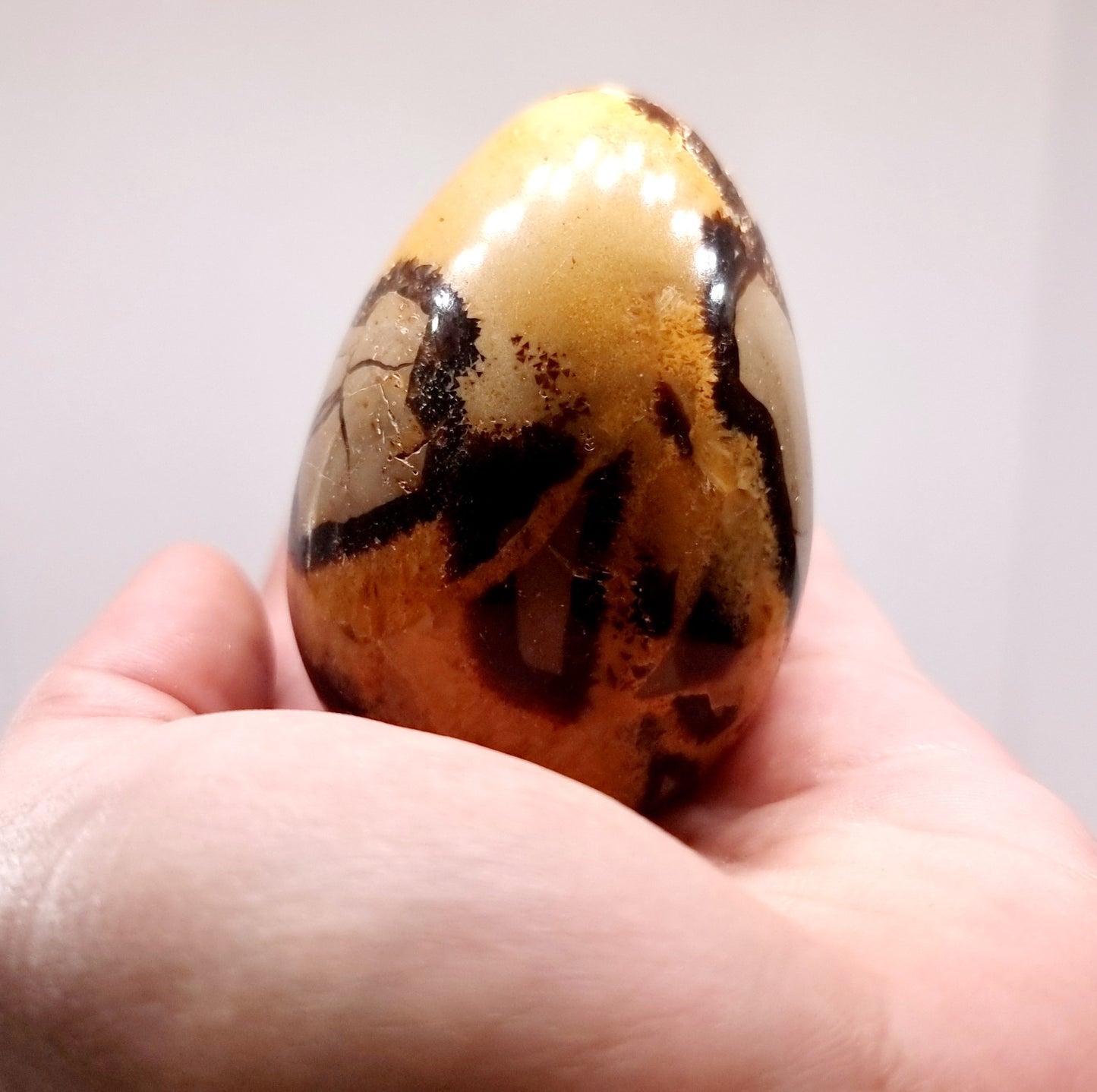 SEPTARIAN POLISHED DRAGON EGG 197 g - SHAMANIC WORK