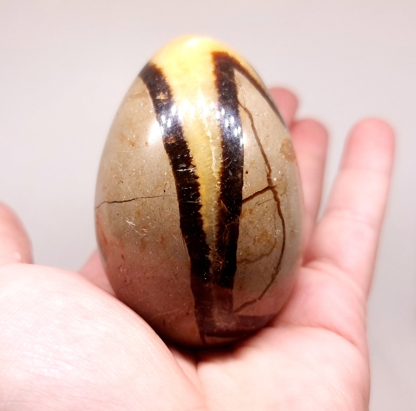 SEPTARIAN POLISHED DRAGON EGG 213 g - SHAMANIC HEALING