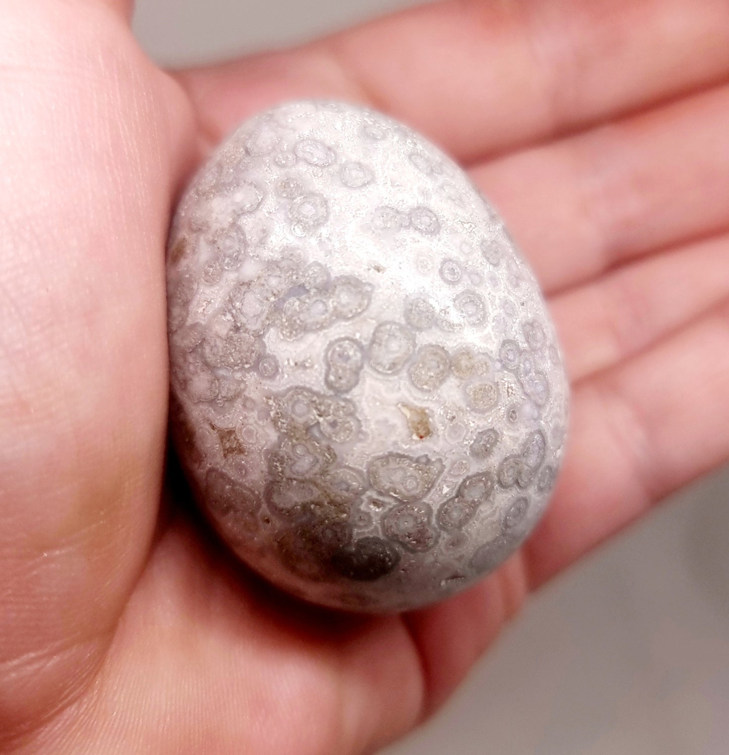 WHITE ORBICULAR OCEAN JASPER POLISHED EGG 82 g - TRANQUILITY