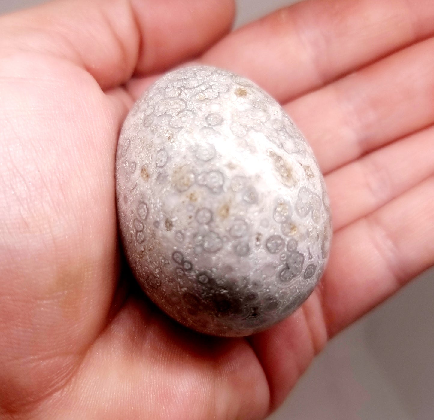 WHITE ORBICULAR OCEAN JASPER POLISHED EGG 82 g - TRANQUILITY