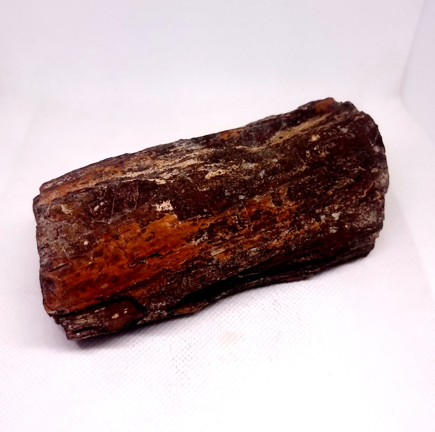 PETRIFIED WOOD FOSSIL 853 g - ANCIENT KNOWLEDGE