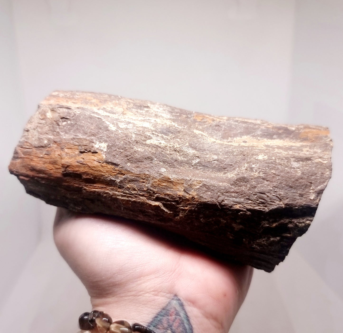 PETRIFIED WOOD FOSSIL 853 g - ANCIENT KNOWLEDGE