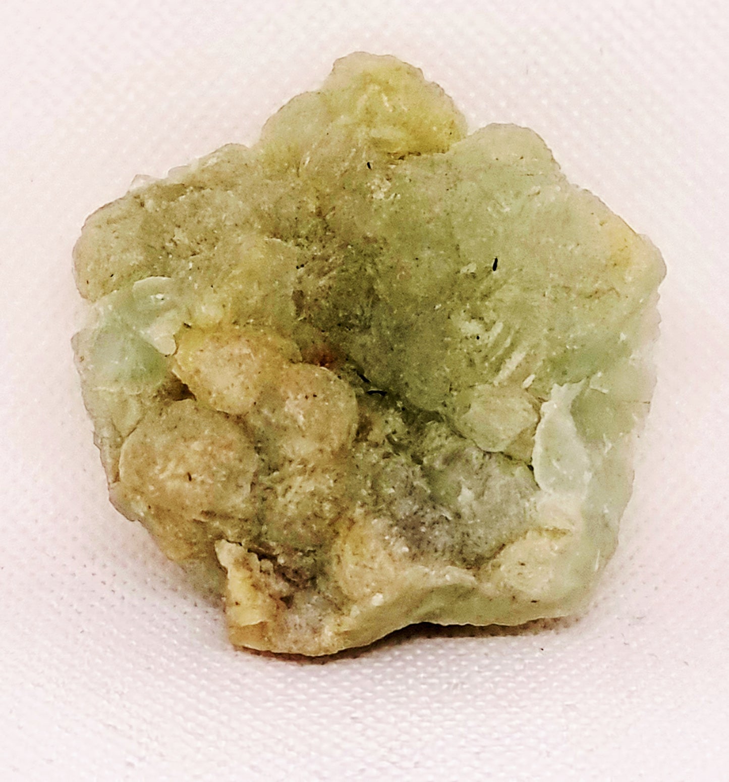 BOTRYOIDAL PREHNITE SPECIMEN 85 g - HEAL THE HEALER
