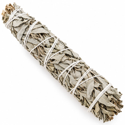 CALIFORNIAN WHITE SAGE SMUDGE WAND 22 cm