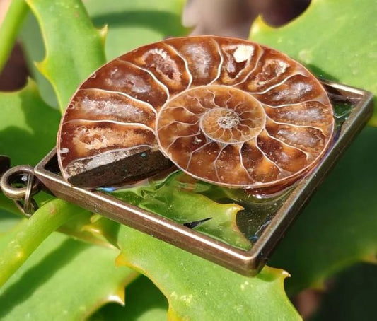 AMMONITE HANDCRAFTED NECKLACE - ANCIENT WISDOM
