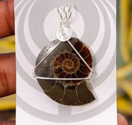 AMMONITE WIRE WRAPPED PENDANT - AKASHIC RECORDS