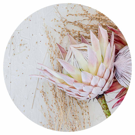 FLORAL PINK GRASSY PROTEA ROUND PLACEMAT