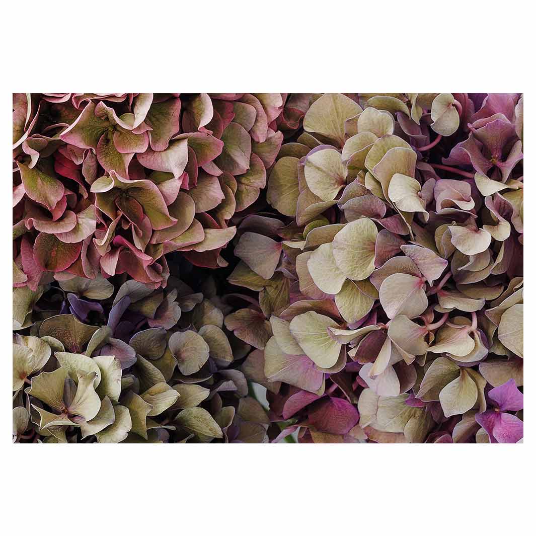 HYDRANGEA DEEP FLORAL TONES RECTANGULAR PLACEMAT