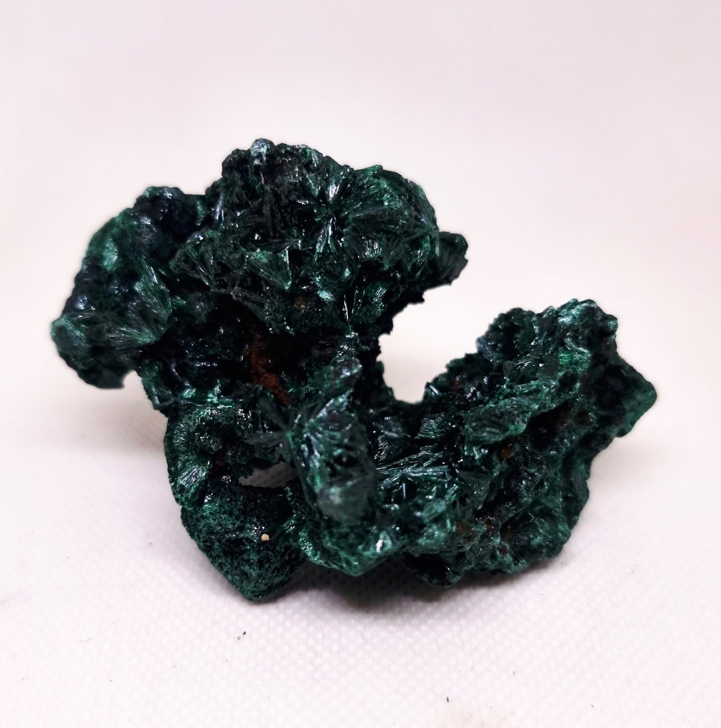 SILKY MALACHITE SPECIMEN ( 167 g ) - WEALTH